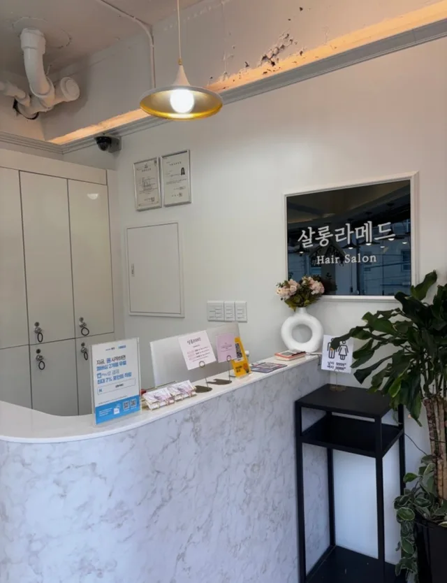 [인센~55%]살롱라메드 서초교대점에서 함께 성장하실 선생님 모십니다. 